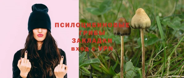 метадон Арсеньев