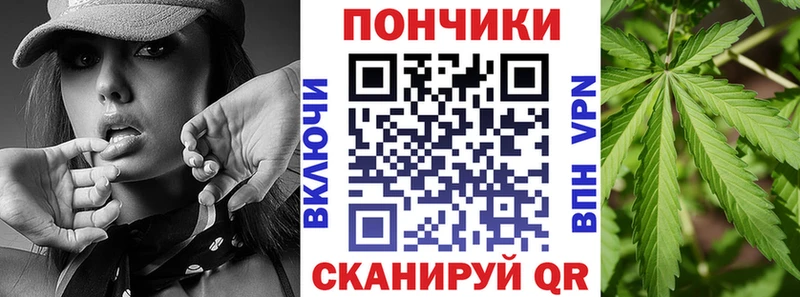 Каннабис индика  Сосновый Бор 